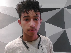 Face Image